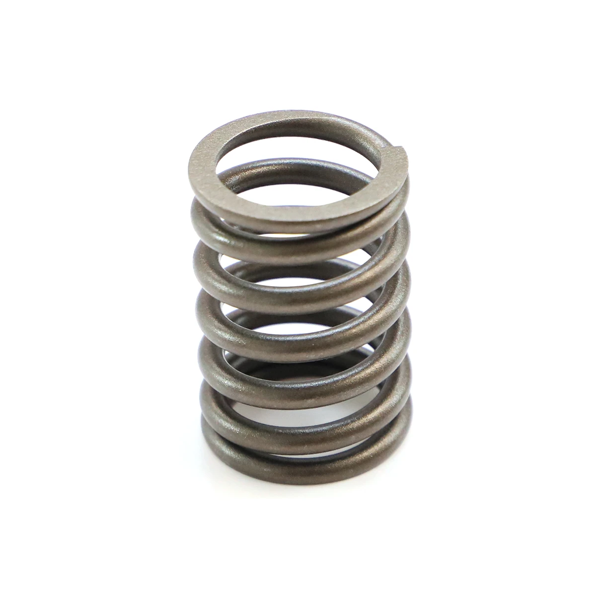 Ressort de soupape extérieur authentique Lister Petter SA8K46T-04008 | SA441G1