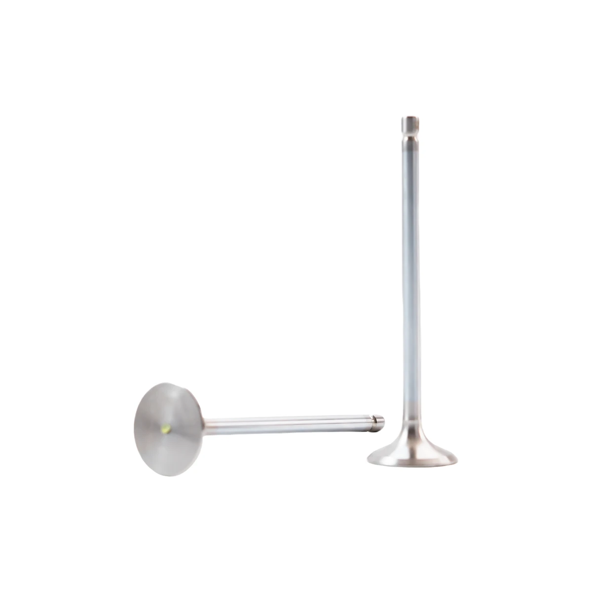 Soupape d'échappement Lister Petter LP00005772 pour moteurs LP443G1 et LP443G2