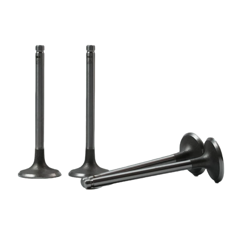 Soupape d'admission Lister Petter SA471B-04038 pour Lister Petter SA423G1