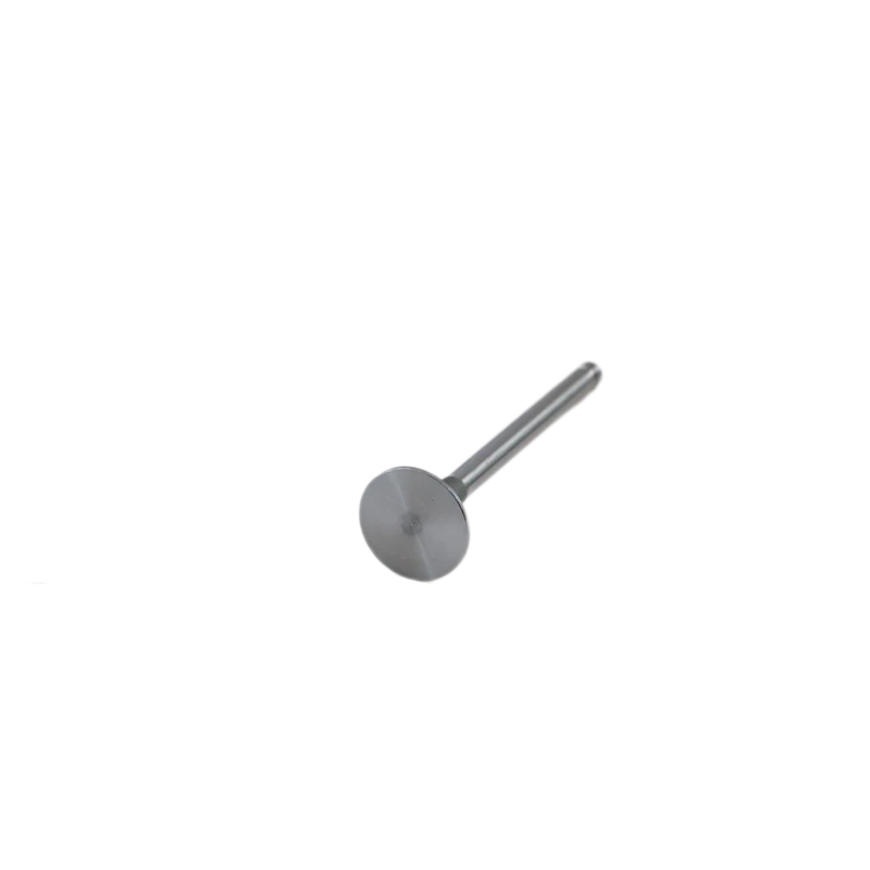 SA471B-04031 Soupape d'échappement Lister Petter pour Lister Petter SA423G1