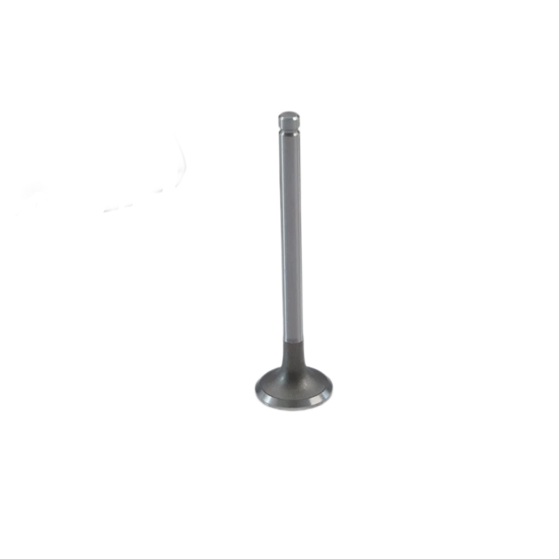 SA471B-04031 Soupape d'échappement Lister Petter pour Lister Petter SA423G1