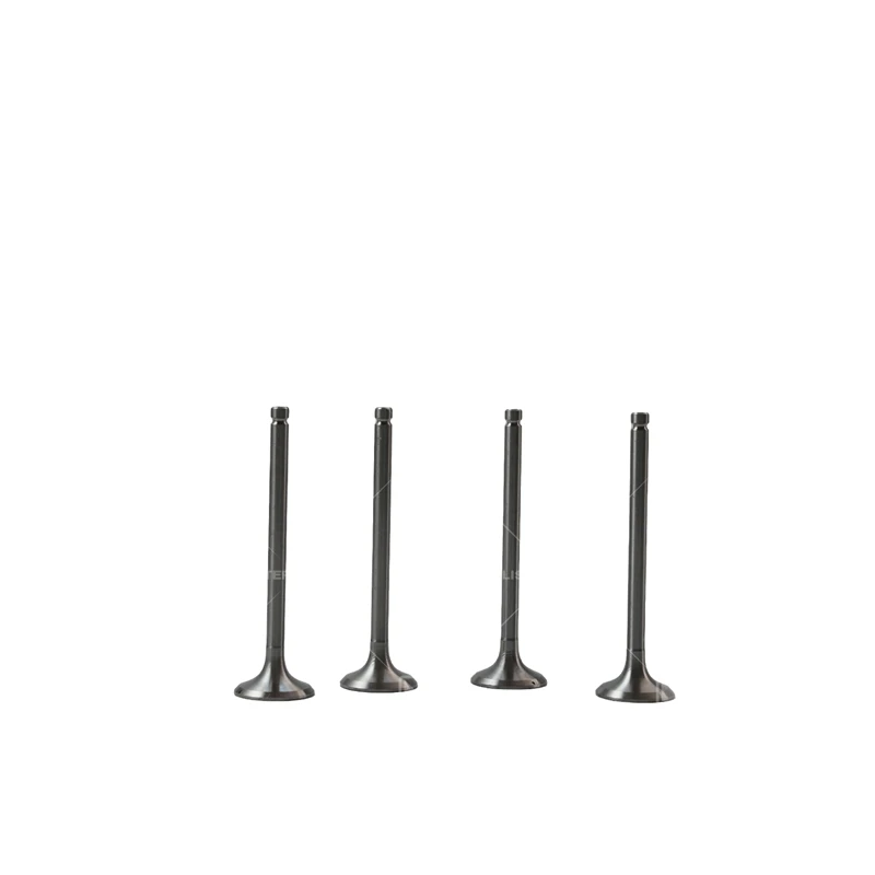 Soupape d'échappement Lister Petter SA860B-04031 pour Lister Petter SA427G1