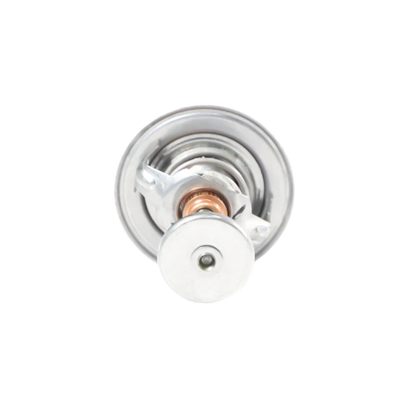 Thermostat Lister Petter LP55-305-600 pour Lister Petter LP689G3